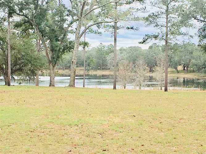 Lot 4 Summer Duck Road Tallahassee, FL 32309 in Centerville Conservtion Photo 1