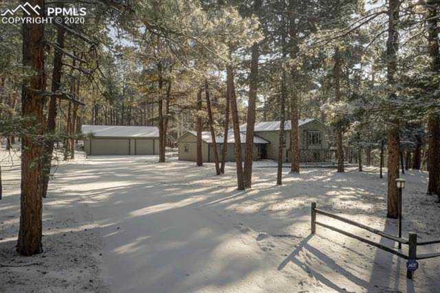 17505 Arrowwood Drive Monument CO 80132 - MLS 4457392 - Ashford Photo 1