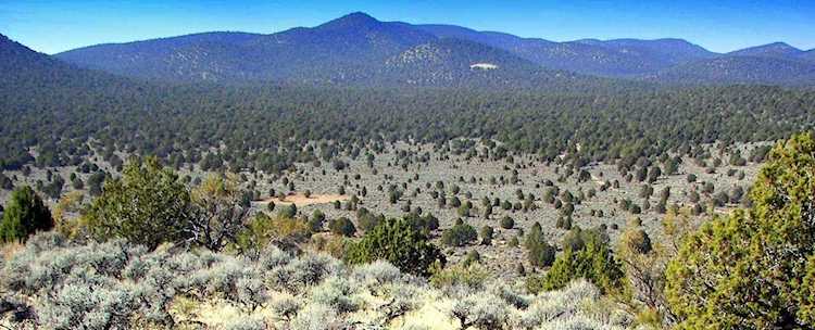 60 Acres Off of Studhorse Modena, UT 84753