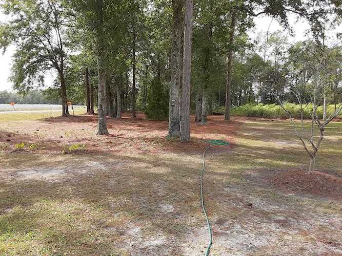 01 Lanes Bridge Road Odum, GA 31555 | MLS 133415 Photo 1