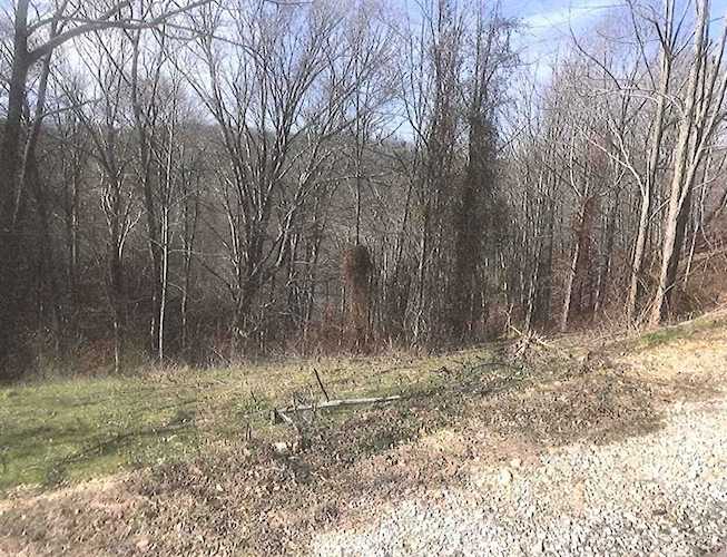 0 Davidson Road Smithville, TN 37166