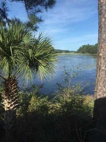 1502 Marsh Haven Rd Seabrook Island, SC 29455 | MLS 20028498 Photo 1