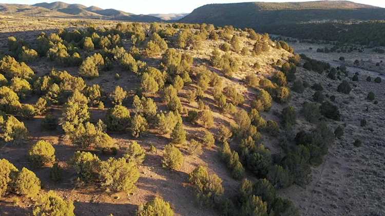 40 Ac N North Holt Canyon Rd RD Enterprise, UT 84725