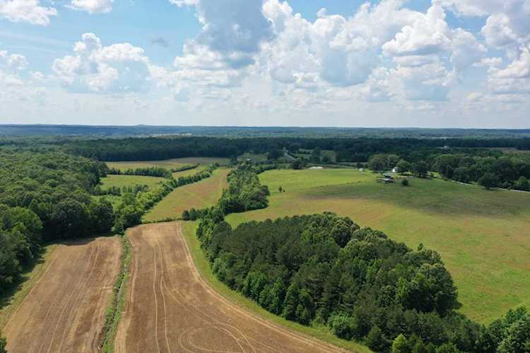 1705 Mcbride Cemetery Rd Sardis, TN 38371 | MLS 2124025 Photo 1
