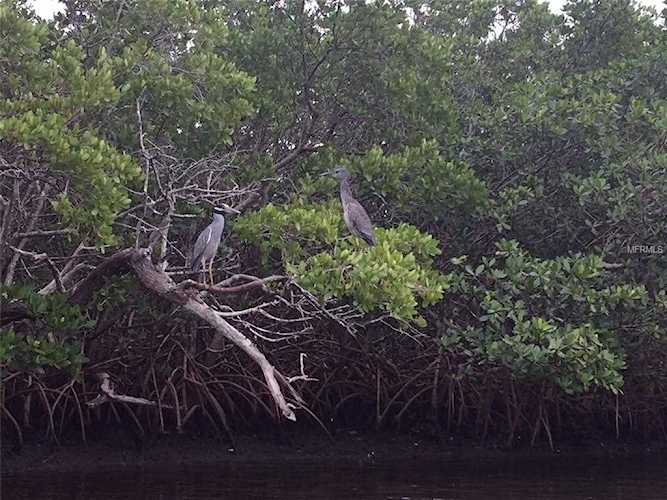 Joes Island Terra Ceia, FL 34250
