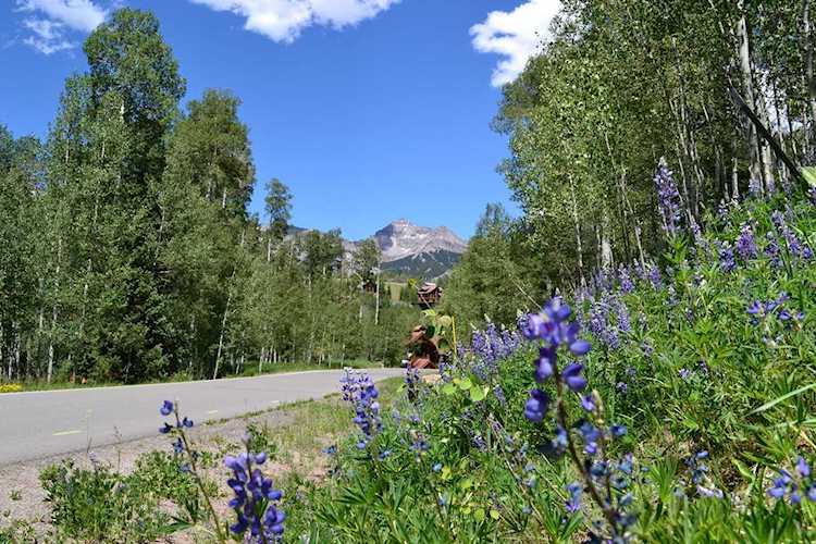 219 Russell Dr #536 Mountain Village, COLORADO 81435