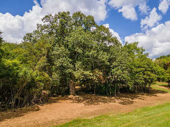 310 Blair Ln Lebanon, TN 37087