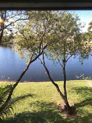 585 Racquet Club Rd #7 Weston, FL 33326
