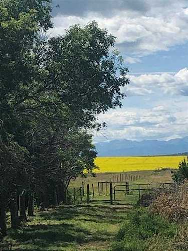 88Th St E And 594 Ave E St E Rural Foothills County, AB T1V 1M6