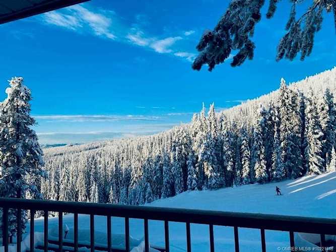 20 Kettle View Road Big White, BC V1P1P3