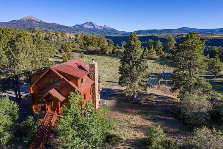 1151 THREE PEAKS Peninsula Dr Placerville, COLORADO 81430