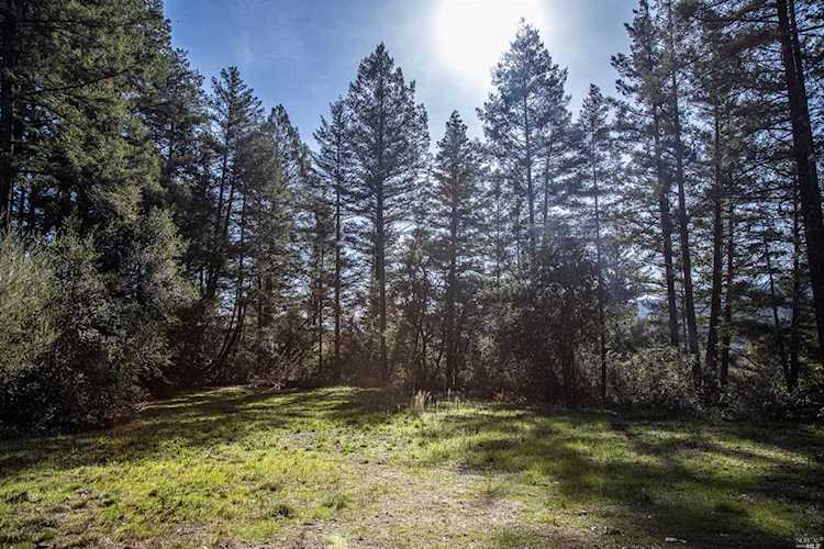Dry Creek Road Healdsburg, CA 95448