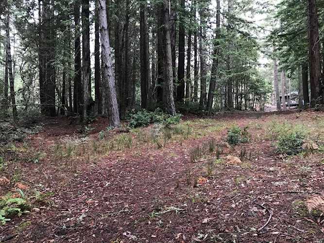 22091 Lyons Court Timber Cove, CA 95450