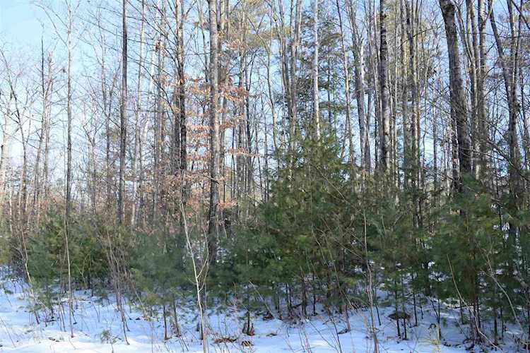 00 Livingston Rd Meredith, NH 03253