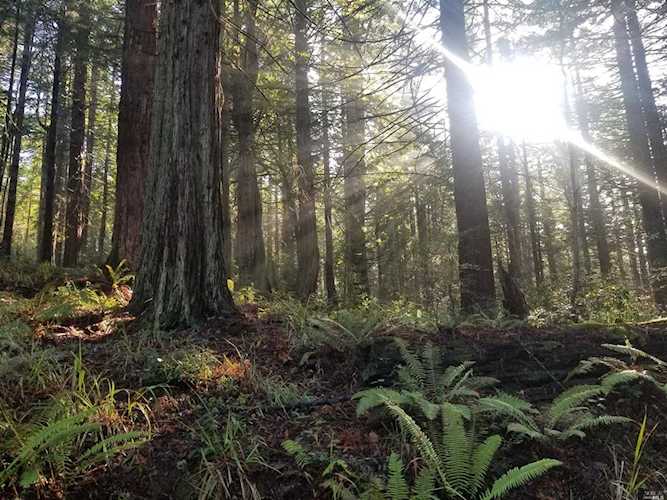 400 Indian Close The Sea Ranch, CA 95497