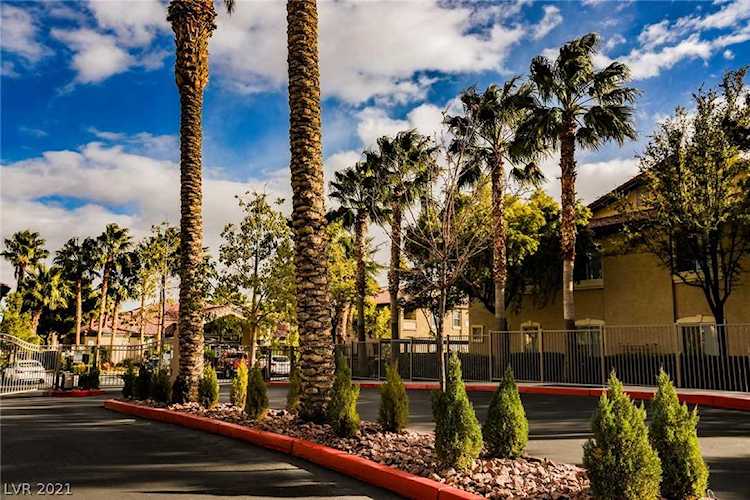 3475 Cactus Shadow St #203 Las Vegas, NV 89129