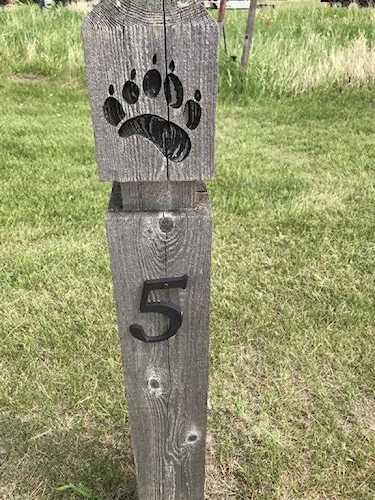 123 Brown Bear Point Rural Rocky View County, AB T4C 0B5
