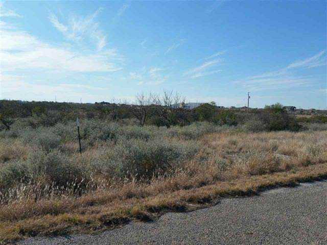 1553 Diego Del Rio, TX 78840 | MLS 201200 Photo 1