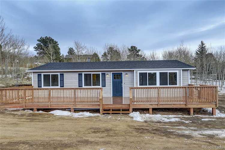 131 Gold Flake Bailey, CO 80421 | MLS 9849253 Photo 1