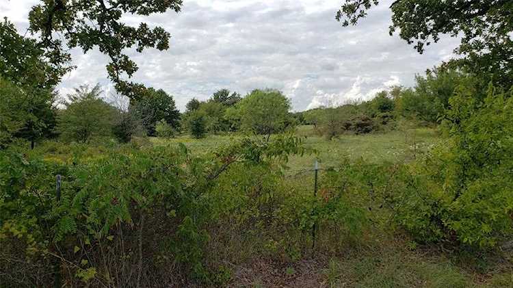 10 Creekview Ranch Argyle, TX 76226
