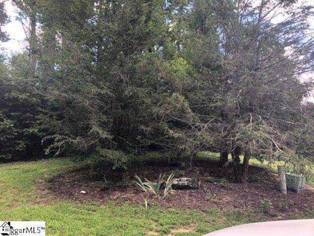 6 Bear Creek Ln Landrum, SC 29356
