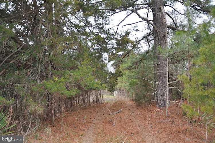 3815 Kentucky Springs Rd Bumpass, VA 23024