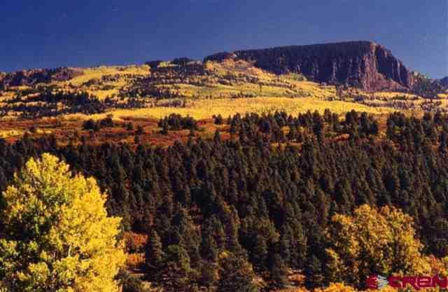 663 Usfs Rd X Esmt Pagosa Springs, CO 81147