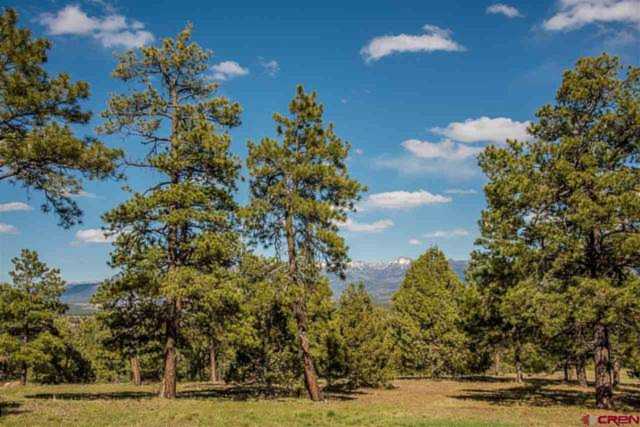 122 Yarrow Circle Pagosa Springs, CO 81147