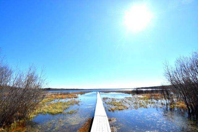 lot 1, Bechtold Bay, Skeleton Lake Rural Athabasca County, AB T0A 0M0