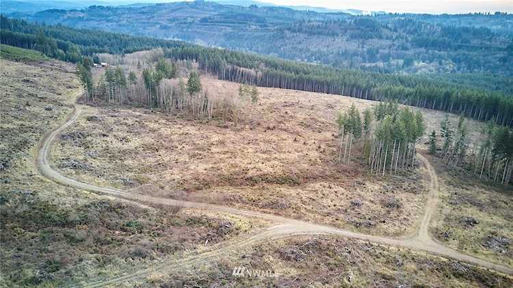 2 Pup Creek Woodland, WA 98674