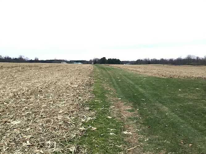 10650 Miller Avenue Canal Winchester, OH 43110