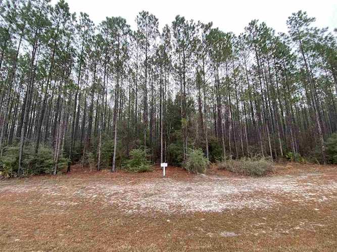 Lot 7 Block H Hidden Horse Way Tallahassee, FL 32305 in Tallahassee Ranch Club Photo 1