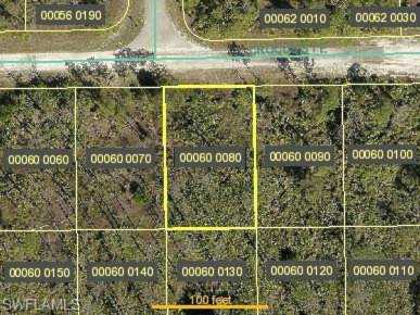 1146 E Crocus St Lehigh Acres, FL 33974 | MLS 221013254 Photo 1