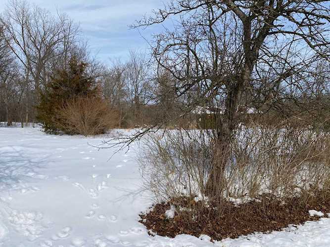 0 Harriott Drive Powell, OH 43065