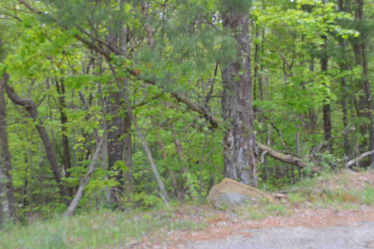 0 Cumberland Gap Newport VA 24128 - MLS#826106 | RoanokeRealEstate.com Photo 1