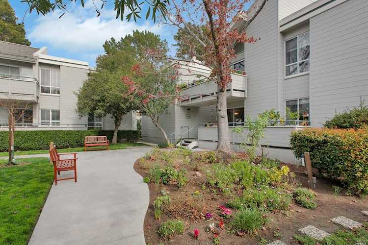 366 Larkspur Plaza Drive Larkspur, CA 94939