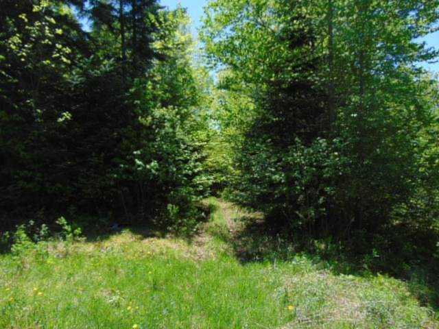 - Oakes Rd Columbia, NH 03576