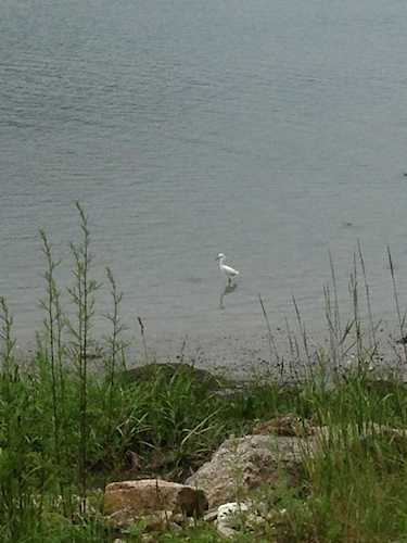 3 Stanwood Point #A Gloucester, MA 01930