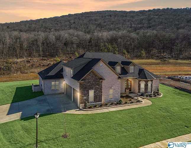 8300 Riley Ridge Way Owens Cross Roads, AL 35763 | MLS 1775302 Photo 1