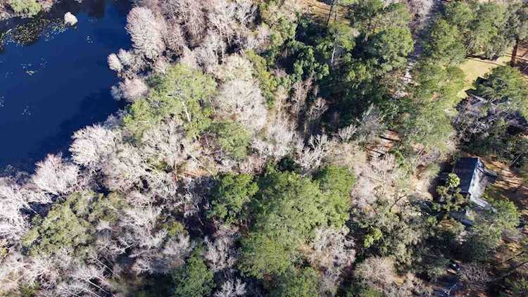 10557 Lake Iamonia Dr Tallahassee, FL 32312