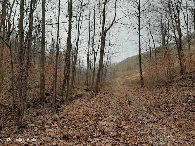 Lots 9-13 & 18-20 Beech Valley Ct Lebanon Junction, KY 40150 | MLS 1576173 Photo 1