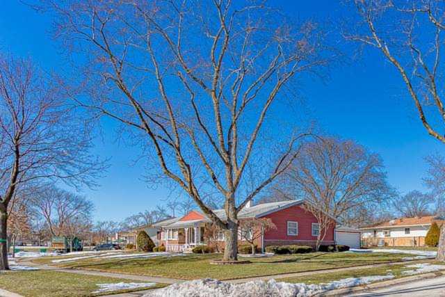 500 Corrinthia Dr Elk Grove Village, IL 60007