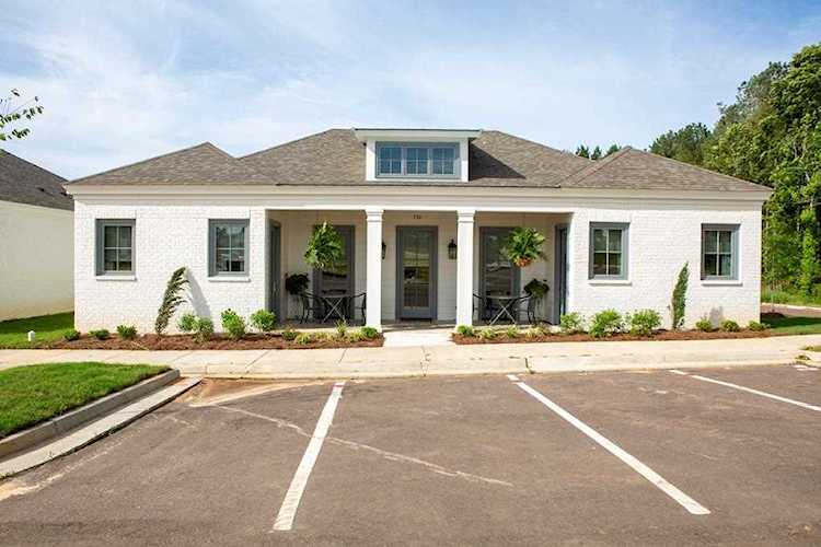 736 Cottage Loop Oxford, MS 38655