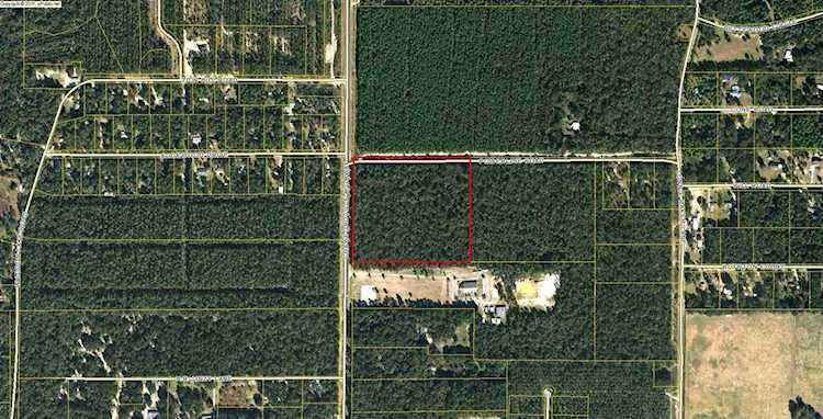 xx Crawfordville Hwy. Crawfordville, FL 32326