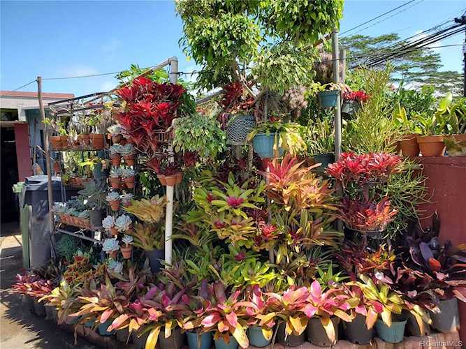 309 N Circle Mauka Street Wahiawa, HI 96786 | MLS 202107430 Photo 1