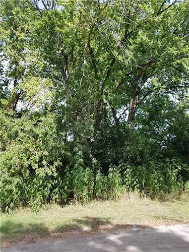 TBD Ave G Lot #4 Elgin, TX 78621