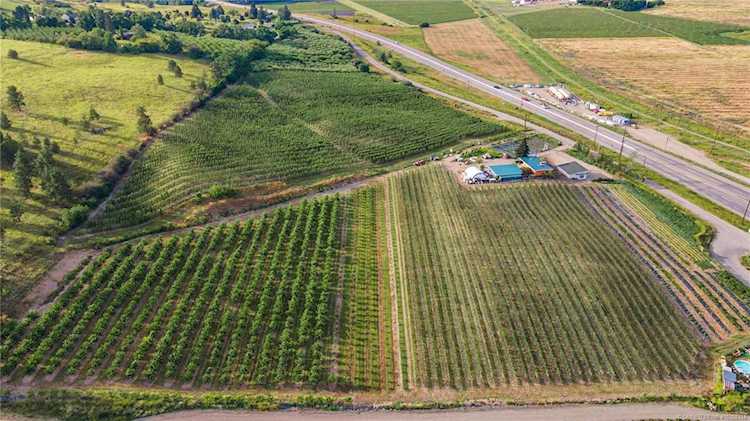 2855 Dry Valley Road Kelowna, BC V1V2K1