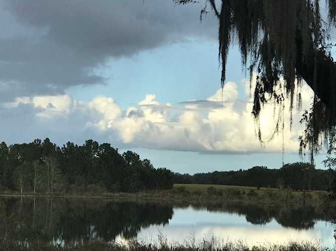 4325 Baptist Island Road FL 34711