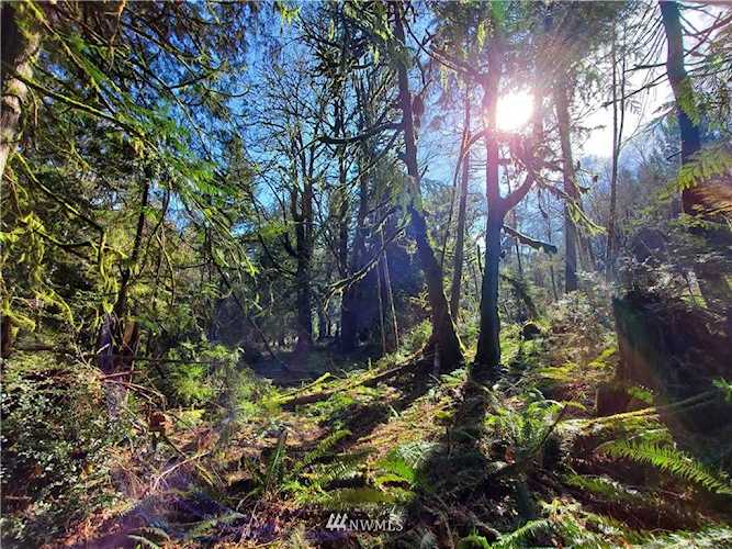 950 E Passage View Rd Shelton, WA 98584