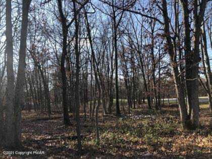 407 Pine Tree Road Albrightsville, PA 18210 | MLS PM-84148 Photo 1